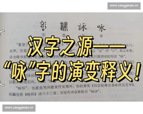 以请问比赛的赛怎么写为主题探讨汉字结构演变与书写文化魅力